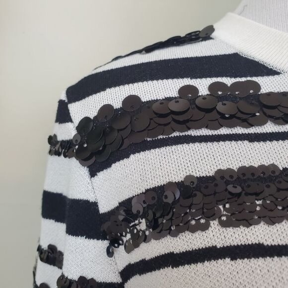 Ann Taylor Sequin Zebra Jacquard Pullover Sweater Blouse Small Stripe Long Sleev - Picture 9 of 10